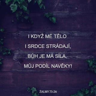 Žalmy 73:26 B21