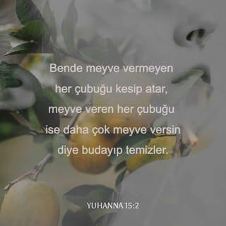 YUHANNA 15:1-6 TCL02