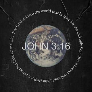 John 3:16 NLT New Living Translation