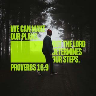 Proverbs 16:9 - In their hearts humans plan their course,
but the LORD establishes their steps.