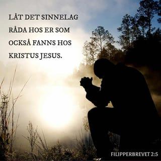 Filipperbrevet 2:5-10 - Låt det sinnelag råda hos er som också fanns hos Kristus Jesus. Han ägde Guds gestalt men vakade inte över sin jämlikhet med Gud utan avstod från allt och antog en tjänares gestalt då han blev som en av oss. När han till det yttre hade blivit människa gjorde han sig ödmjuk och var lydig ända till döden, döden på ett kors. Därför har Gud upphöjt honom över allt annat och gett honom det namn som står över alla andra namn, för att alla knän skall böjas för Jesu namn, i himlen, på jorden och under jorden