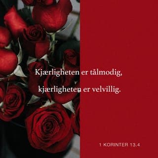 Første Korinterbrev 13:4-5-4-5 - Kjærligheten er tålmodig,
og den er vennlig.
Kjærligheten er ikke misunnelig.
Kjærligheten skryter ikke,
og den fokuserer ikke på seg selv.
Den oppfører seg ikke dårlig
og krever ikke sin egen vei.
Den lar seg ikke hisse opp,
og den gjør ikke
noe vondt mot noen.