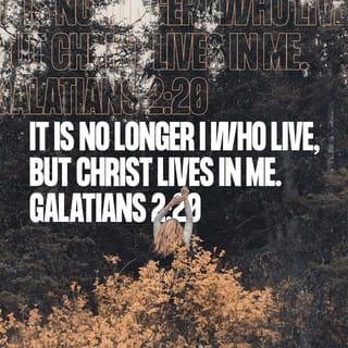Galatians 2:20 NLT New Living Translation