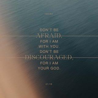 Isaiah 41:10 - Don’t be afraid, because I am with you.
Don’t be intimidated; I am your God.
I will strengthen you.
I will help you.
I will support you with my victorious right hand.