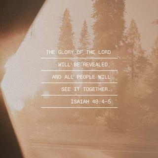 Isaiah 40:4-5 GW GOD'S WORD