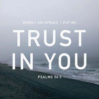 Psalms 56:3-4 - whenever I’m afraid,
I put my trust in you—
in God, whose word I praise.
I trust in God; I won’t be afraid.
What can mere flesh do to me?