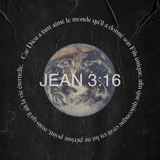 Jean 3:16 PDV2017 Parole de Vie 2017