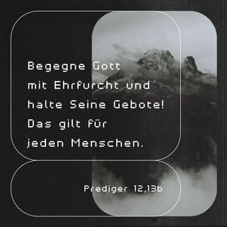 Prediger 12:13-14 - Zu guter Letzt lasst uns hören, welche Schlussfolgerung sich aus all dem ergibt: Begegne Gott mit Ehrfurcht und halte seine Gebote! Das gilt für jeden Menschen. Denn Gott wird Gericht halten über alles, was wir tun – sei es gut oder böse –, auch wenn es jetzt noch verborgen ist.