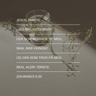 Johannes’ evangelium 6:34-36 - Da sa folket: «Herre, gi oss alltid dette brødet.» Jesus svarte: «Det er Jeg som er livets brød. Den som velger å tro på Meg, kommer aldri mer til å sulte og skal aldri bli tørst igjen. Dette har Jeg allerede sagt, men likevel tror dere ikke.