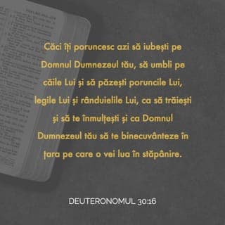 Deuteronomul 30:16 - întrucât îți poruncesc astăzi să iubești pe Domnul Dumnezeul tău, să umbli pe căile lui și să păzești poruncile lui și așezămintele lui și judecățile lui, ca să trăiești și să te înmulțești, și ca Domnul Dumnezeul tău să te binecuvânteze în țara în care intri ca s‐o stăpânești.