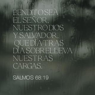 Salmos 68:19 - 19 (20) ¡Bendito sea el Señor, nuestro Dios y Salvador,
que día tras día lleva nuestras cargas!