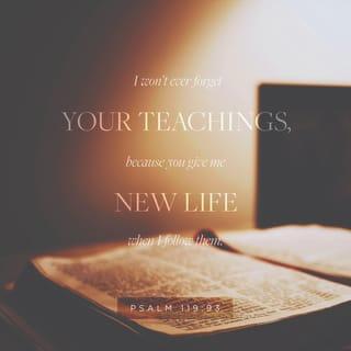 Psalms 119:93 - I won't ever forget
your teachings,
because you give me new life
when I follow them.