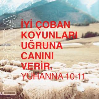 YUHANNA 10:11 TCL02