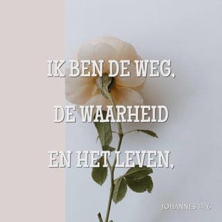 Johannes 14:2 - In het huis van Mijn Vader zijn veel woningen; als dat niet zo was, zou Ik het u gezegd hebben. Ik ga heen om een plaats voor u gereed te maken.