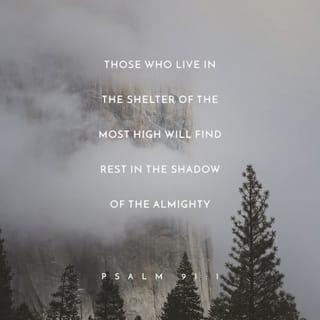 Psalms 91:1 - Whoever dwells in the shelter of the Most High
will rest in the shadow of the Almighty.