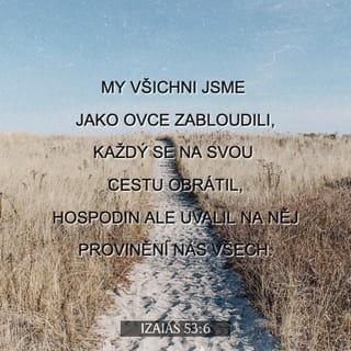 Izaiáš 53:6 CSP Český studijní překlad
