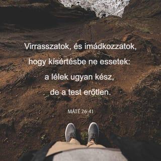 Máté 26:41-43 - Virrasszatok, és imádkozzatok, hogy kísértésbe ne essetek: a lélek ugyan kész, de a test erőtlen. Másodszor is elment, és így imádkozott: Atyám, ha nem távozhat el tőlem ez a pohár, hanem ki kell innom, legyen meg a te akaratod. Amikor visszament, ismét alva találta őket, mert elnehezült a szemük.
