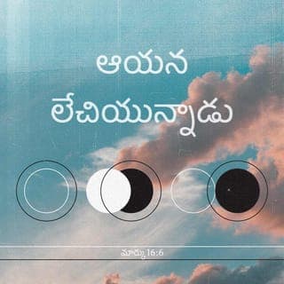 మార్కు 16:5-7 - అప్పుడు వారు సమాధిలో ప్రవేశించి, తెల్లని నిలువుటంగీ ధరించుకొనియున్న యొక పడుచువాడు కుడివైపున కూర్చుండుట చూచి మిగుల కలవరపడిరి. అందు కతడు కలవర పడకుడి సిలువ వేయబడిన నజరేయుడగు యేసును మీరు వెదకుచున్నారు; ఆయన లేచియున్నాడు, ఇక్కడ లేడు; వారు ఆయనను ఉంచిన స్థలము చూడుడి. మీరు వెళ్లి ఆయన మీకంటె ముందుగా గలిలయలోనికి వెళ్లుచున్నాడనియు, ఆయన మీతో చెప్పినట్టు అక్కడ మీరు ఆయనను చూతురనియు ఆయన శిష్యులతోను పేతురుతోను చెప్పుడనెను.