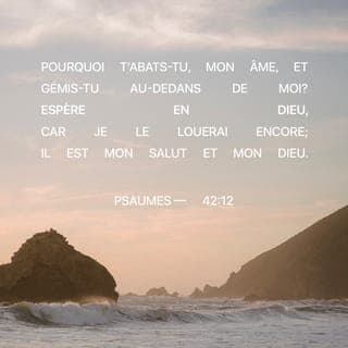 Psaume 42:11 - Mes adversaires m'ont fait outrage ; ç'a été une épée dans mes os, quand ils m'ont dit chaque jour, où est ton Dieu ? Mon âme, pourquoi t'abats-tu, et pourquoi frémis-tu au-dedans de moi ? Attends-toi à Dieu ; car je le célébrerai encore, il est ma délivrance, et mon Dieu.