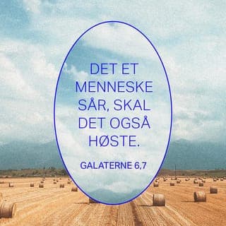 Galaterbrevet 6:6-10 - Den som får undervisning om Guds budskap, skal dele med den som underviser. Del godene med hverandre.
Pass på at dere ikke blir lurt og ført på avveie! Gud vil ikke at Hans Navn skal bli skitnet til. Det et menneske sår, det får han også høste. Dersom mennesker fokuserer på negative ting, vil de høste det som er negativt i livet. Men den som fokuserer på Guds plan og vilje og vil leve med Ånden som hjelp, skal høste det gode og få evig liv.
La oss derfor ikke bli trette av å gjøre det som er godt. For når tiden er inne, vil vi se resultatene av våre positive valg, hvis vi bare ikke mister motet. Derfor må vi benytte de anledningene vi får, til å gjøre godt mot alle, særlig mot våre kristne søsken.