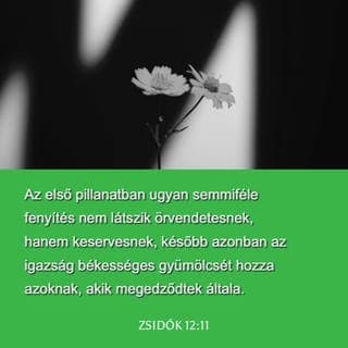 A zsidókhoz írt levél 12:11 - A fegyelmezés, meg a fenyítés egyáltalán nem kellemes, amikor el kell szenvednünk, inkább fájdalmas és szomorúságot okoz! Később mégis igazságosságot és békességet eredményez annak az életében, aki a fegyelmezés által megedződött.
