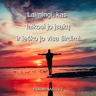 Psalmių knyga 119:2 - Palaiminti, kurie klauso Jo liudijimų ir visa širdimi Jo ieško