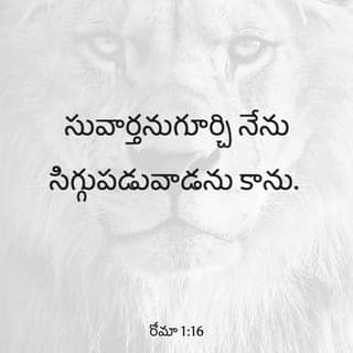 రోమా 1:16-32 - సువార్తనుగూర్చి నేను సిగ్గుపడువాడను కాను. ఏలయనగా నమ్ము ప్రతివానికి, మొదట యూదునికి, గ్రీసుదేశస్థునికి కూడ రక్షణ కలుగజేయుటకు అది దేవుని శక్తియై యున్నది. ఎందుకనిన–నీతిమంతుడు విశ్వాసమూలముగా జీవించునని వ్రాయబడిన ప్రకారము విశ్వాసమూలముగా అంత కంతకు విశ్వాసము కలుగునట్లు దేవుని నీతి దానియందు బయలుపరచబడుచున్నది.
దుర్నీతిచేత సత్యమును అడ్డగించు మనుష్యులయొక్క సమస్త భక్తిహీనతమీదను, దుర్నీతిమీదను దేవుని కోపము పరలోకమునుండి బయలుపరచబడుచున్నది. ఎందు కనగా దేవునిగూర్చి తెలియ శక్యమైనదేదో అది వారి మధ్య విశదమైయున్నది; దేవుడు అది వారికి విశదపరచెను. ఆయన అదృశ్యలక్షణములు, అనగా ఆయన నిత్యశక్తియు దేవత్వమును, జగదుత్పత్తి మొదలుకొని సృష్టింపబడిన వస్తువులను ఆలోచించుటవలన తేటపడుచున్నవి గనుక వారు నిరుత్తరులై యున్నారు. మరియు వారు దేవుని నెరిగియు ఆయనను దేవునిగా మహిమపరచ లేదు, కృతజ్ఞతాస్తుతులు చెల్లింపనులేదు గాని తమ వాదములయందు వ్యర్థులైరి. వారి అవివేకహృదయము అంధ కారమయమాయెను; తాము జ్ఞానులమని చెప్పుకొనుచు బుద్ధిహీనులైరి. వారు అక్షయుడగు దేవుని మహిమను క్షయమగు మనుష్యులయొక్కయు, పక్షులయొక్కయు, చతుష్పాద జంతువులయొక్కయు, పురుగులయొక్కయు, ప్రతిమాస్వరూపముగా మార్చిరి.
ఈ హేతువుచేత వారు తమ హృదయముల దురాశ లను అనుసరించి, తమ శరీరములను పరస్పరము అవమానపరచుకొనునట్లు దేవుడు వారిని అపవిత్రతకు అప్పగించెను. అట్టివారు దేవుని సత్యమును అసత్యమునకు మార్చి, సృష్టికర్తకు ప్రతిగా సృష్టమును పూజించి సేవించిరి. యుగములవరకు ఆయన స్తోత్రార్హుడై యున్నాడు, ఆమేన్.
అందువలన దేవుడు తుచ్ఛమైన అభిలాషలకు వారిని అప్పగించెను. వారి స్త్రీలు సయితము స్వాభావికమైన ధర్మమును విడిచి స్వాభావిక విరుద్ధమైన ధర్మమును అనుసరించిరి. అటువలె పురుషులు కూడ స్త్రీయొక్క స్వాభావికమైన ధర్మమును విడిచి, పురుషులతో పురుషులు అవాచ్యమైనదిచేయుచు, తమ తప్పిదమునకు తగిన ప్రతి ఫలమును పొందుచు ఒకరియెడల ఒకరు కామతప్తులైరి.
మరియు వారు తమ మనస్సులో దేవునికి చోటియ్య నొల్లకపోయిరి గనుక చేయరాని కార్యములు చేయుటకు దేవుడు భ్రష్ట మనస్సుకు వారినప్పగించెను. అట్టివారు సమస్తమైన దుర్నీతిచేతను, దుష్టత్వముచేతను, లోభముచేతను, ఈర్ష్యచేతను నిండుకొని, మత్సరము నరహత్య కలహము కపటము వైరమనువాటితో నిండినవారై కొండెగాండ్రును అపవాదకులును, దేవద్వేషులును, హింసకులును, అహంకారులును, బింకములాడువారును, చెడ్డవాటిని కల్పించువారును, తలిదండ్రులకవిధేయులును, అవివేకులును మాట తప్పువారును అనురాగ రహితులును, నిర్దయులునైరి. ఇట్టి కార్యములను అభ్య సించువారు మరణమునకు తగినవారు అను దేవుని న్యాయ విధిని వారు బాగుగ ఎరిగియుండియు, వాటిని చేయుచున్నారు. ఇది మాత్రమే గాక వాటిని అభ్యసించు వారితో సంతోషముగా సమ్మతించుచున్నారు.