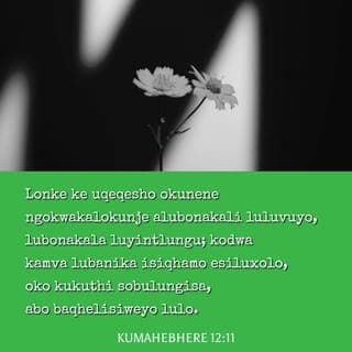 Incwadi ka‐Paulusi kuma‐Hebere 12:11 - Kekaloku akuko kwohlwaywa ixesha kukoyo ngalo okunga kuyinto yovuyo, koko kunga kuyinto yosizi: noko kamva kuyanika isiqa̔mo esiluxolo sobulungisa kwabo baqeliswayo ngako.