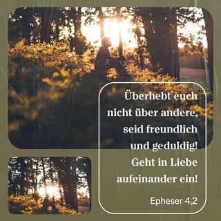 Epheserbrief 4:1-16 SCH2000 Die Bibel (Schlachter 2000)