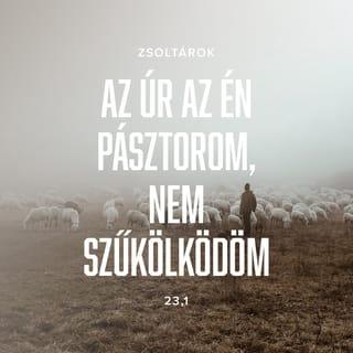 Zsoltárok 23:1-2 - Dávid zsoltára.
Az Úr az én pásztorom; nem szűkölködöm. Fűves legelőkön nyugtat engem, és csendes vizekhez terelget engem.