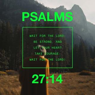 Psalms 27:14 - Wait for Yahweh.
Be strong and let your heart show strength,
and wait for Yahweh.