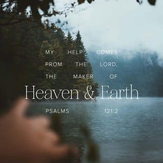 Psalms 121:2 - My help will come from the LORD,
who made heaven and earth.