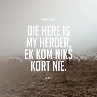 PSALMS 23:1 AFR83