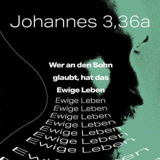 Johannes 3:36 - Wer an den Sohn Gottes glaubt, der hat das ewige Leben. Wer aber nicht auf ihn hört, wird nie zum Leben gelangen, sondern Gottes Zorn wird für immer auf ihm lasten.«