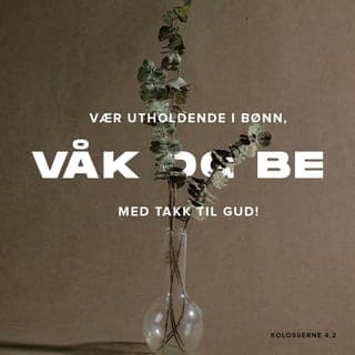 Kolosserbrevet 4:2-4 - Be regelmessig til Gud uten å gi opp, og takk Ham! Be også for oss at mulighetene for å spre budskapet om Gud, åpner seg for oss. Vi vil så gjerne forkynne mysteriet om hvordan verden blir frelst ved Jesus. Det er jo for evangeliets skyld at jeg sitter i fengsel nå. Be om at Gud gjør Ordet levende for meg, og at jeg får ledelse til å forkynne med de rette ordene.