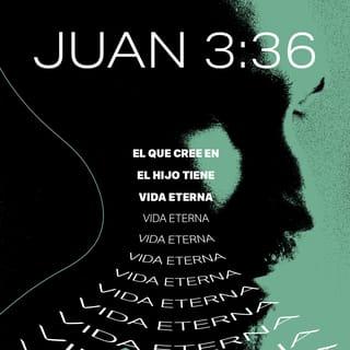 S. Juan 3:36 RVR1960