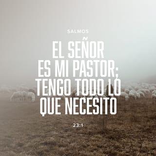 Salmos 23:1-6 - Jehová es mi pastor; nada me faltará.
En lugares de delicados pastos me hará descansar;
Junto a aguas de reposo me pastoreará.
Confortará mi alma;
Me guiará por sendas de justicia por amor de su nombre.

Aunque ande en valle de sombra de muerte,
No temeré mal alguno, porque tú estarás conmigo;
Tu vara y tu cayado me infundirán aliento.
Aderezas mesa delante de mí en presencia de mis angustiadores;
Unges mi cabeza con aceite; mi copa está rebosando.
Ciertamente el bien y la misericordia me seguirán todos los días de mi vida,
Y en la casa de Jehová moraré por largos días.