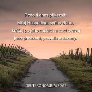 Deuteronomium 30:16 - To ti dnes přikazuji, abys miloval Hospodina, svého Boha, chodil po jeho cestách a zachovával jeho příkazy, ustanovení a nařízení. Tak zůstaneš naživu, rozmnožíš se a Hospodin, tvůj Bůh, ti požehná v zemi, do které jdeš, abys ji obsadil.