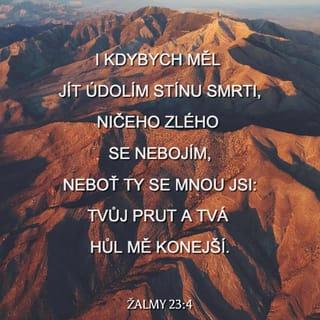 Žalmy 23:4 B21