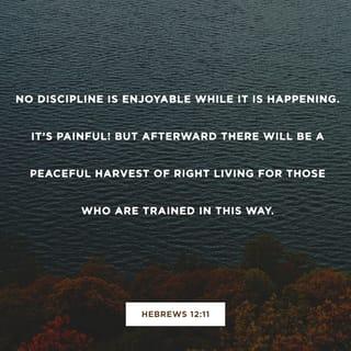 Hebrews 12:11 NLT New Living Translation