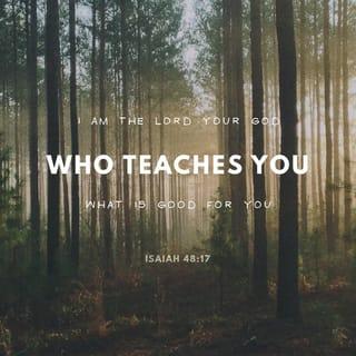 Isaiah 48:17 - Thus saith the LORD, thy Redeemer, the Holy One of Israel; I am the LORD thy God which teacheth thee to profit, which leadeth thee by the way that thou shouldest go.