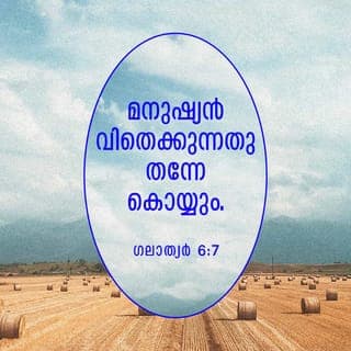 GALATIA 6:7-10 - നിങ്ങൾ സ്വയം വഞ്ചിക്കരുത്; ദൈവത്തെ വഞ്ചിക്കുവാൻ ആർക്കും സാധ്യമല്ല. ഒരുവൻ വിതച്ചതുതന്നെ കൊയ്യും. പ്രാകൃതമായ അഭിലാഷങ്ങളുടെ വിളഭൂമിയിലാണു വിതയ്ക്കുന്നതെങ്കിൽ, അതിൽനിന്ന് അവൻ നാശം കൊയ്യും; ആത്മാവിന്റെ വിളഭൂമിയിലാണു വിതയ്ക്കുന്നതെങ്കിൽ അവൻ കൊയ്യുന്നത് അനശ്വരജീവനായിരിക്കും. നന്മ ചെയ്യുന്നതിൽ നാം ക്ഷീണിച്ചു പോകരുത്; ക്ഷീണിക്കാതിരുന്നാൽ യഥാകാലം അതിന്റെ വിളവെടുക്കാം. അതുകൊണ്ട് എല്ലാവർക്കും വിശിഷ്യ സഹവിശ്വാസികൾക്ക് അവസരം ലഭിക്കുമ്പോഴെല്ലാം നന്മചെയ്യണം; വിശ്വാസികളായ നാമെല്ലാവരും ഒരേ കുടുംബത്തിലെ അംഗങ്ങളാണല്ലോ.