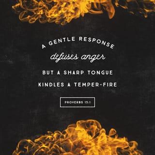 Proverbs 15:1-3 - A soft answer turns away wrath,
but a harsh word stirs up anger.
The tongue of the wise commends knowledge,
but the mouths of fools pour out folly.
The eyes of the LORD are in every place,
keeping watch on the evil and the good.