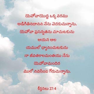 కీర్తనల గ్రంథము 27:4 - యెహోవా నాకు అనుగ్రహించాలని నేను ఆయనను అడిగేది ఒకే ఒకటి ఉంది.
నేను అడిగేది ఇదే:
“నా జీవిత కాలం అంతా నన్ను యెహోవా ఆలయంలో కూర్చుండనిచ్చుట.
ఆయన రాజ భవనాన్ని నన్ను సందర్శించనిచ్చుట.
యెహోవా సౌందర్యాన్ని నన్ను చూడనిమ్ము.”