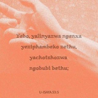 U-Isaya 53:5 - Yebo, yalinyazwa ngenxa yeziphambeko zethu,
yachotshozwa ngobubi bethu;
isijeziso sasiphezu kwayo ukuba sibe nokuthula,
nangemivimbo yayo siphilisiwe thina.