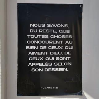 Romains 8:28 PDV2017