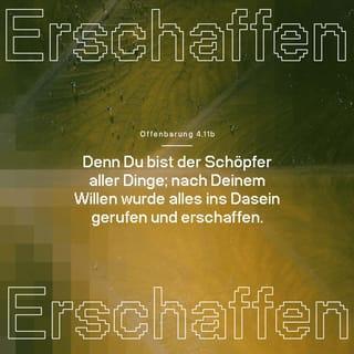 Offenbarung 4:11 - »Dich, unseren Herrn und Gott, beten wir an.
Du allein bist würdig, Ehre und Ruhm zu empfangen
und für deine Macht gepriesen zu werden.
Denn du hast alles erschaffen.
Nach deinem Willen entstand die Welt
und alles, was auf ihr lebt.«