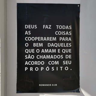 Romanos 8:28-29 NVI Nova Versão Internacional - Português