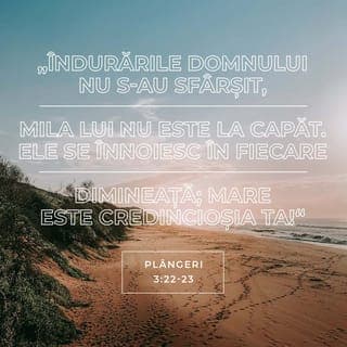 Plângerile 3:21-24 - Iată ce mai gândesc în inima mea și iată ce mă face să mai trag nădejde:
Bunătățile Domnului nu s-au sfârșit, îndurările Lui nu sunt la capăt,
ci se înnoiesc în fiecare dimineață. Și credincioșia Ta este atât de mare!
„Domnul este partea mea de moștenire”, zice sufletul meu, „de aceea nădăjduiesc în El.”