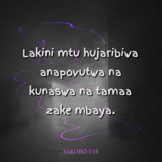 Yak 1:13-16 - Mtu ajaribiwapo, asiseme, Ninajaribiwa na Mungu; maana Mungu hawezi kujaribiwa na maovu, wala yeye mwenyewe hamjaribu mtu. Lakini kila mmoja hujaribiwa na tamaa yake mwenyewe huku akivutwa na kudanganywa. Halafu ile tamaa ikiisha kuchukua mimba huzaa dhambi, na ile dhambi ikiisha kukomaa huzaa mauti. Ndugu zangu wapenzi, msidanganyike.